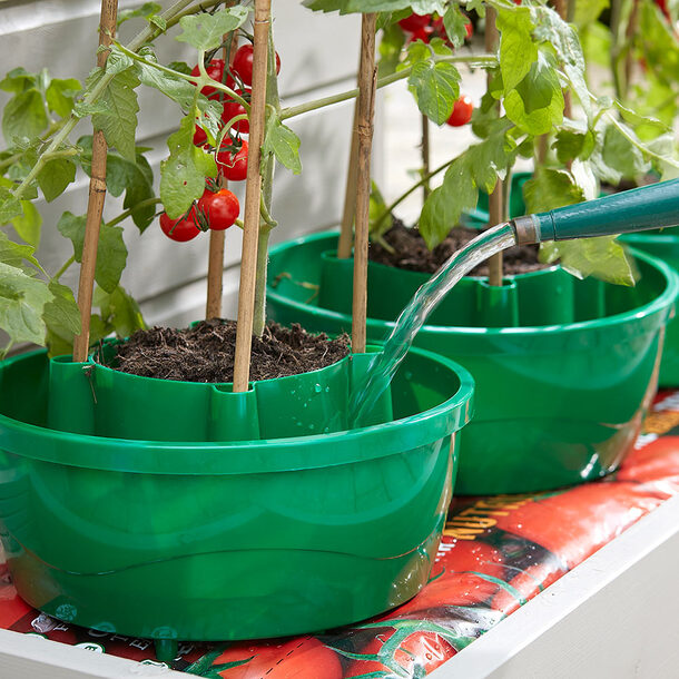 Plant Watering System (set of 3)