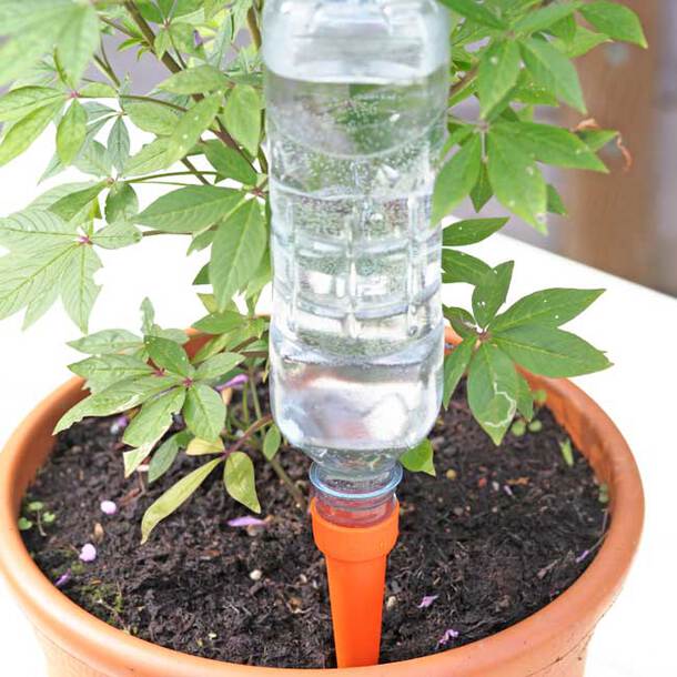 Automatic Watering Spikes (Set of 8)