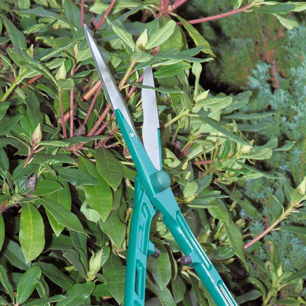 Lightweight Hedge Shears