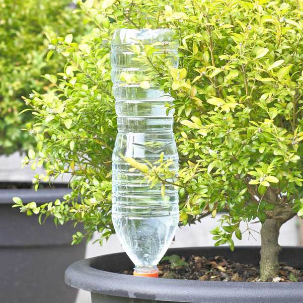 Automatic Watering Spikes (Set of 8)